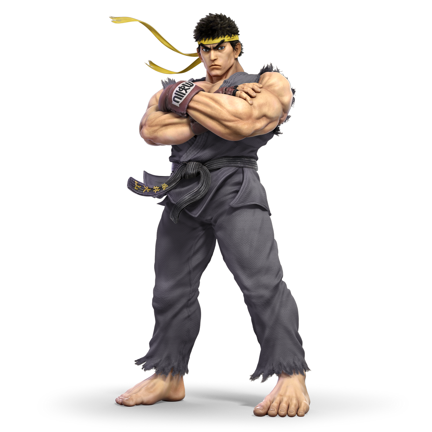 Ryu img_381591_d282497390d0f587a00